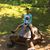 Christopher Fitzgerald's profile image