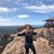 Christine Andersen's profile image