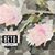Nadene Field's profile image