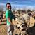 Aaron Stouffer's profile image