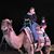 Martha Garcia's profile image