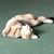 Jennifer Pangburn Watson's profile image