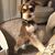 Connie S. Boyd's profile image