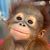 Don David's profile image