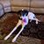 Maria Cerrito Savilla's profile image