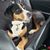 Amy Beck Pfeiffer's profile image