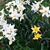 Linda Myers's profile image