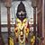 Sameer A Salgaocar's profile image