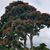 Liz Rivera-Nelms's profile image