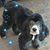 Linda Shumate Schwartz's profile image