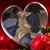 Kari Ash's profile image