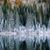 Denise Strack's profile image