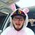 Noseph Bunny Joel's profile image