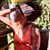Jean Jones's profile image