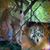 Sue Wetherington Shearouse's profile image