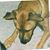 Brandi Cotten's profile image