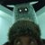 Shawn Wharton's profile image