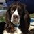Beth Gionis's profile image
