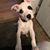 Sunni Weimer's profile image