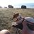 David Van Denover's profile image