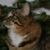Phil Anne Meile's profile image