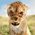 Robert Bedell's profile image