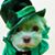 Margie Kenny O'Neill's profile image