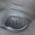 Isabella Peace's profile image