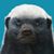Martin Skojec's profile image