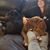 Lori Pharr's profile image