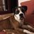 Nilza Cantua Ribeiro's profile image