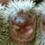Janet E Slyman's profile image