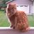 Debbie Schultz Mahnke's profile image