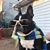 Emily Powell Cochran's profile image