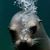 Kathryn Seal Lirette's profile image