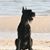 Linda Kaplon Hurst's profile image