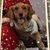 Mary Lysher's profile image