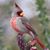 Judith Ann's profile image