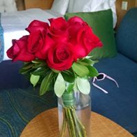 Mary Stever's profile image