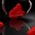 Leslie S Gammage's profile image