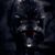 Michael Varner's profile image