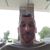 Chris Wilking's profile image