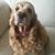 Caroline Joy Quinn's profile image
