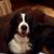 Kathy Suter's profile image