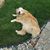 Debra Kinney Spalding's profile image