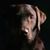 Rich Grow's profile image