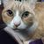 Catherine Winslow's profile image