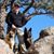 Michael Vincent's profile image