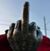Scotty Forbes's profile image