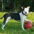 Christine Conte's profile image